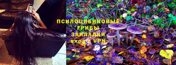 a pvp Алзамай