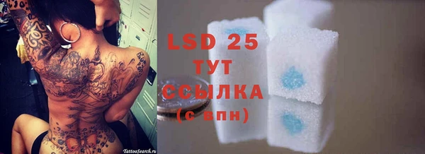 ГАЛЛЮЦИНОГЕННЫЕ ГРИБЫ Алексин