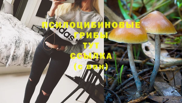 эйфоретик Семёнов