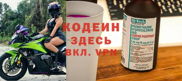 индика Семикаракорск