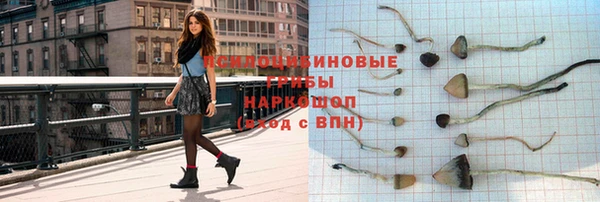 ГАЛЛЮЦИНОГЕННЫЕ ГРИБЫ Алексин