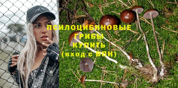 ГАЛЛЮЦИНОГЕННЫЕ ГРИБЫ Алексин
