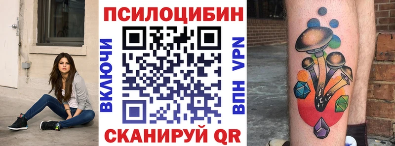 KRAKEN ссылки Ардон Галлюциногенные грибы GOLDEN TEACHER